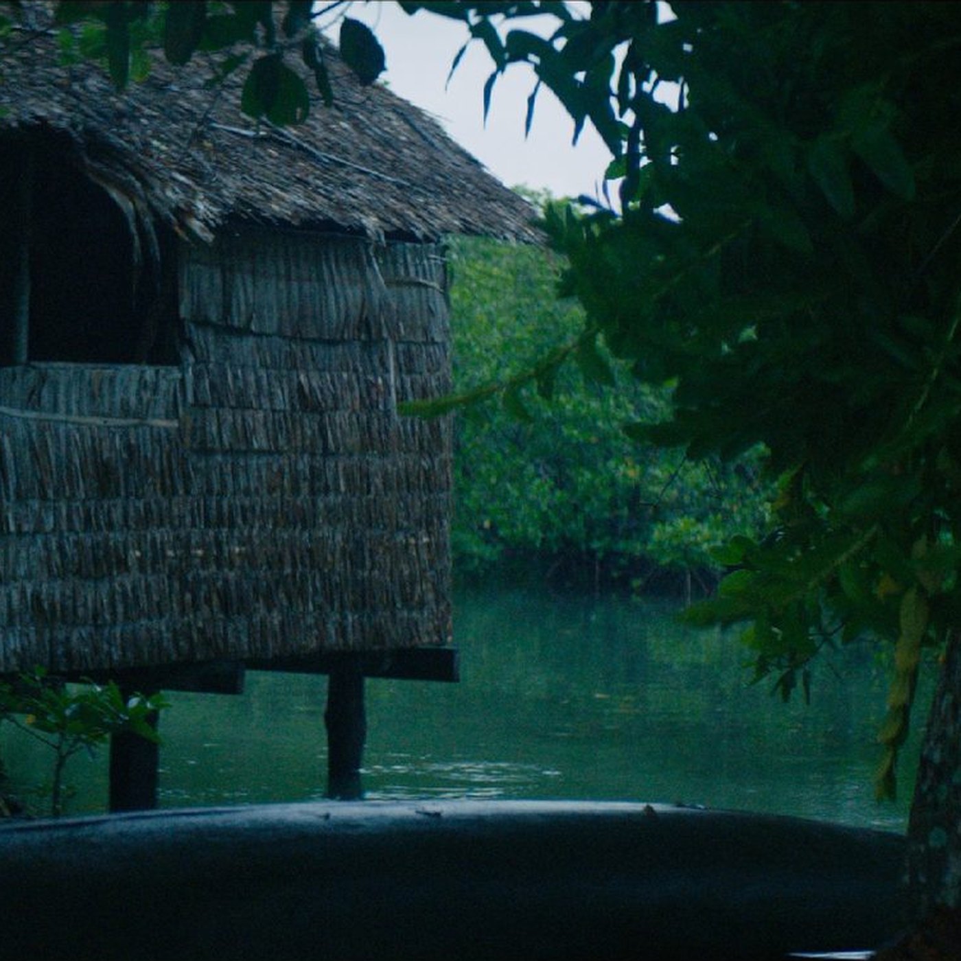 A thatched house standing in still water