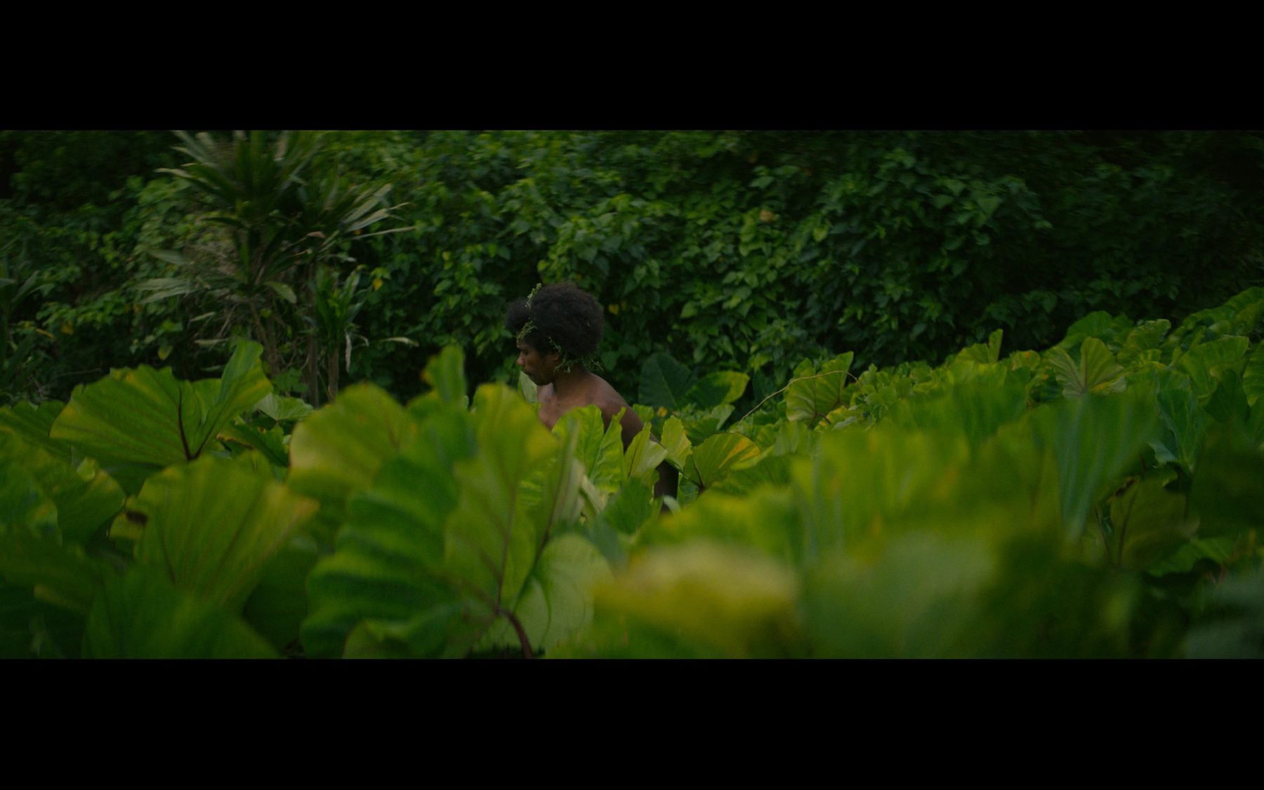 A person walking through dense green foliage
