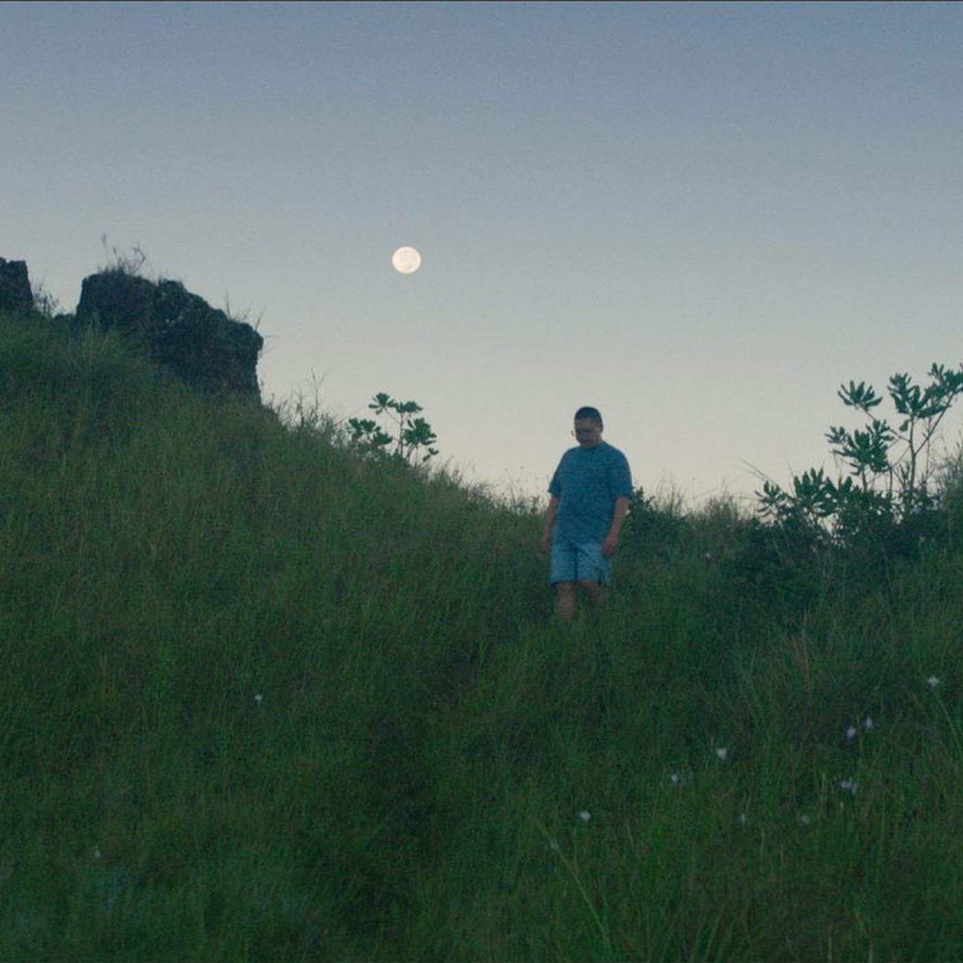 Julian Aguon walking a green hillside