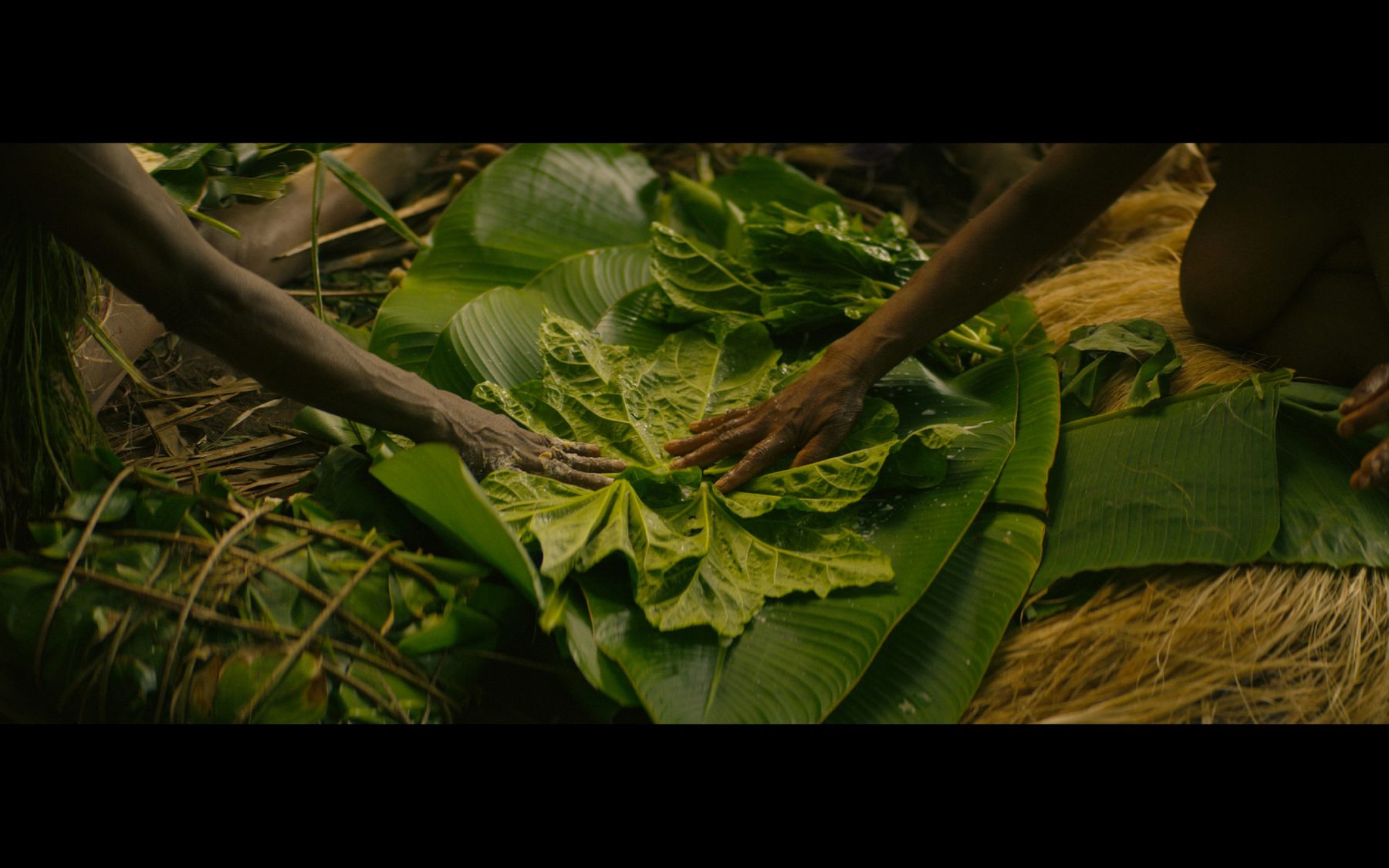 Hands arranging leaves